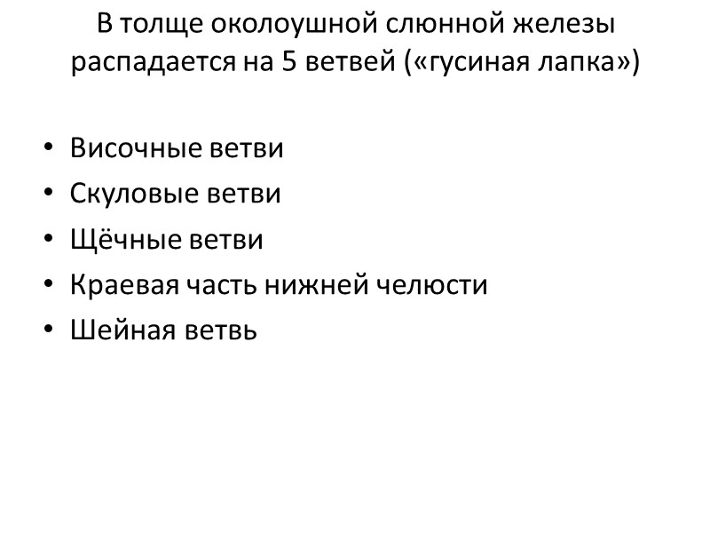 В толще околоушной слюнной железы распадается на 5 ветвей («гусиная лапка»)  Височные ветви